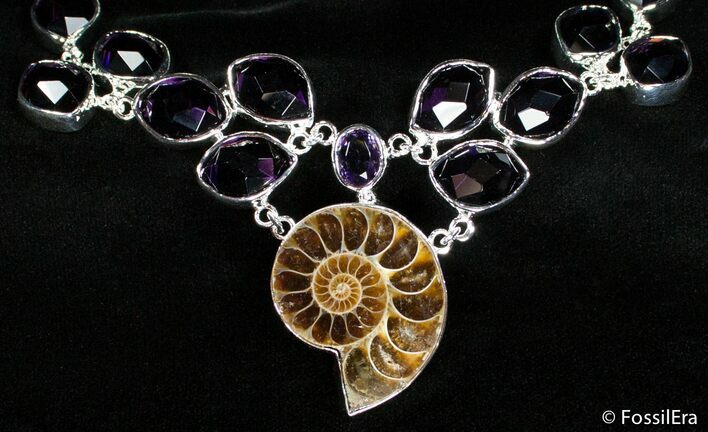 Ammonite Necklace with Amythyst #2799